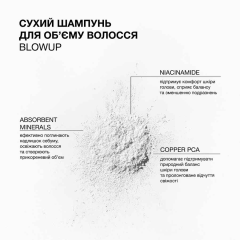 Сухой шампунь для объема волос Blowup Triology.