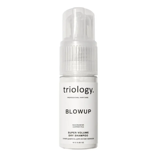 Сухой шампунь для объема волос Blowup Triology.
