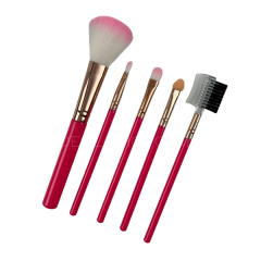 Набір пензликів для макіяжу 5шт