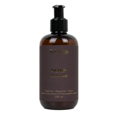 Мило для рук та тіла рідке 250мл Мандарин- бергамот- імбир Top Beauty