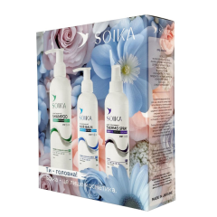 Набір для волосся SOIKA 3В1 весняна колекція